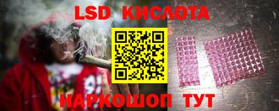 ПСИЛОЦИБИНОВЫЕ ГРИБЫ Краснодар