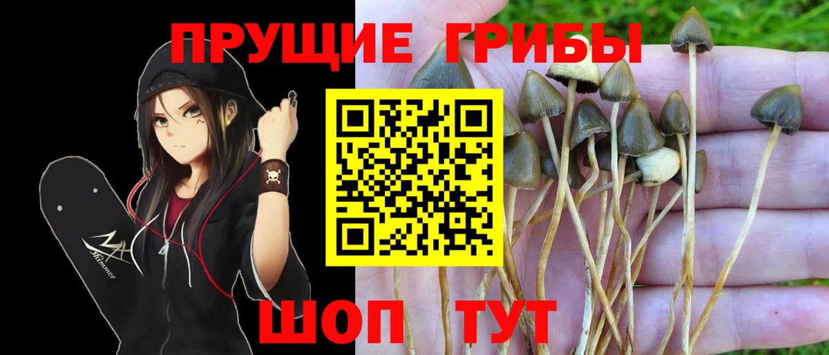 Псилоцибиновые грибы мухоморы  Вход с VPN  Донецк  Галлюциногенные грибы GOLDEN TEACHER 