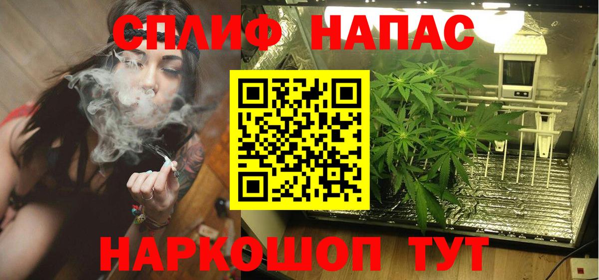 Бошки Шишки марихуана Донецк